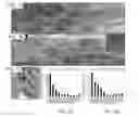 Fig. 02 - Neuronal protection by cerium oxide nanoparticles