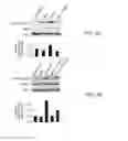 Fig. 09 - Neuronal protection by cerium oxide nanoparticles
