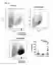 Fig. 05 - Induced dendritic cells and uses thereof