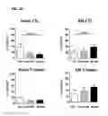 Fig. 06 - Induced dendritic cells and uses thereof
