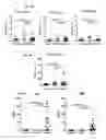 Fig. 11 - Induced dendritic cells and uses thereof