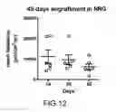 Fig. 14 - Induced dendritic cells and uses thereof
