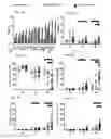 Fig. 15 - Induced dendritic cells and uses thereof