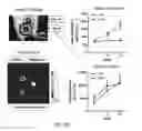 Fig. 17 - Induced dendritic cells and uses thereof