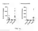 Fig. 18 - Induced dendritic cells and uses thereof