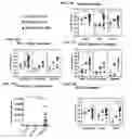 Fig. 19 - Induced dendritic cells and uses thereof