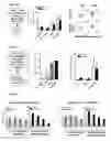 Fig. 27 - Induced dendritic cells and uses thereof