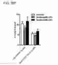 Fig. 31 - Induced dendritic cells and uses thereof