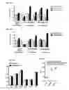 Fig. 32 - Induced dendritic cells and uses thereof