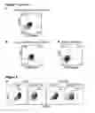 Fig. 03 - Methods and compositions for generating chondrocyte lineage cells and/or cartilage like tissue