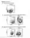 Fig. 16 - Methods and compositions for generating chondrocyte lineage cells and/or cartilage like tissue