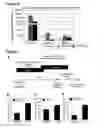 Fig. 19 - Methods and compositions for generating chondrocyte lineage cells and/or cartilage like tissue
