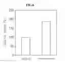 Fig. 07 - Composition Containing Extracts of the Fruit of Hovenia Dulcis THUNB as an Active Ingredient for Preventing and Treating Bone Diseases