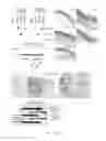 Fig. 08 - Compositions and methods for the treatment of disorders involving epithelial cell apoptosis