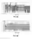 Fig. 10 - EIF4E binding peptides
