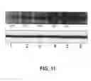 Fig. 17 - EIF4E binding peptides