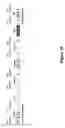 Fig. 02 - Virus-like Particle Vaccines