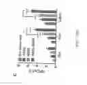 Fig. 28 - Method and apparatus for boosting vaccine efficacy