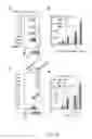 Fig. 31 - Method and apparatus for boosting vaccine efficacy