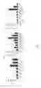 Fig. 33 - Method and apparatus for boosting vaccine efficacy