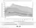 Fig. 40 - Injectable controlled release composition comprising high viscosity liquid carrier