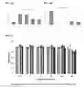 Fig. 07 - Polymeric antibiotics