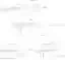 Fig. 13 - Polymeric antibiotics