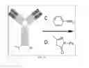Fig. 07 - Compounds and methods for producing a conjugate
