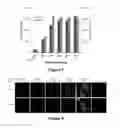 Fig. 06 - Nanoparticle drug delivery systems