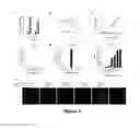 Fig. 07 - Nanoparticle drug delivery systems