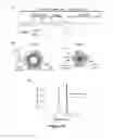 Fig. 09 - Nanoparticle drug delivery systems