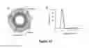 Fig. 28 - Nanoparticle drug delivery systems