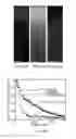 Fig. 08 - Multistage Nanoparticles
