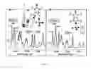 Fig. 06 - Compositions and methods for imaging and treatment