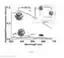Fig. 09 - Compositions and methods for imaging and treatment