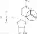 Fig. 89 - Formulation and delivery of modified nucleoside, nucleotide, and nucleic acid compositions