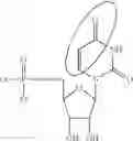Fig. 90 - Formulation and delivery of modified nucleoside, nucleotide, and nucleic acid compositions