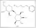 Fig. 191 - Saccharide conjugates