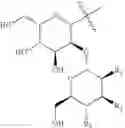 Fig. 35 - Saccharide conjugates