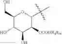 Fig. 47 - Saccharide conjugates