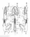 Fig. 04 - Footwear sanitizing and deodorizing system