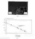Fig. 03 - Acrylic cements for bone augmentation
