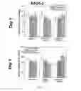 Fig. 12 - Acrylic cements for bone augmentation