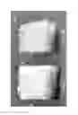 Fig. 03 - Compositions of and methods for cancellous bone matrix