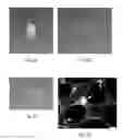 Fig. 02 - Hydrogel precursors having nanoparticles
