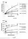 Fig. 03 - Hydrogel precursors having nanoparticles
