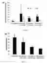 Fig. 05 - Hydrogel precursors having nanoparticles