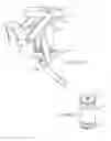Fig. 15 - Methods and devices for three-dimensional printing or additive manufacturing of bioactive medical devices