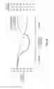 Fig. 13 - MEDICAL DEVICES HAVING SURFACE MODIFIERS