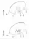 Fig. 59 - Medical device including an air evacuation system